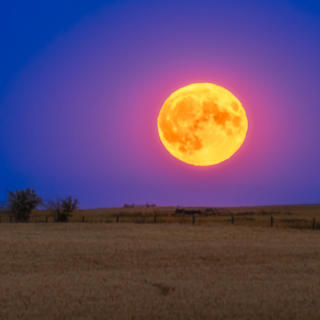 Buck Moon peaks Thursday as year's most distant full moon