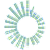 SLNO