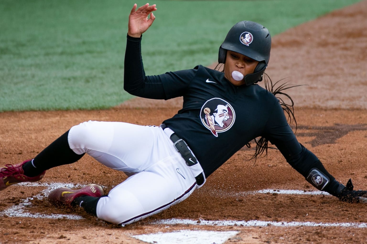 tallahassee.com