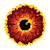 EYEUSD