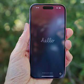 iPhone 17 to bring Pro's thin bezels to all models