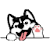 HUSKYUSD