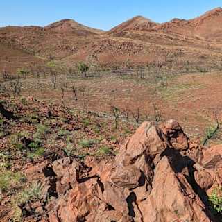 World's Oldest Impact Crater Found