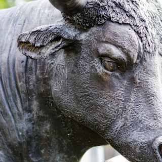 Major crypto exchange Bullish migrates to Solana blockchain