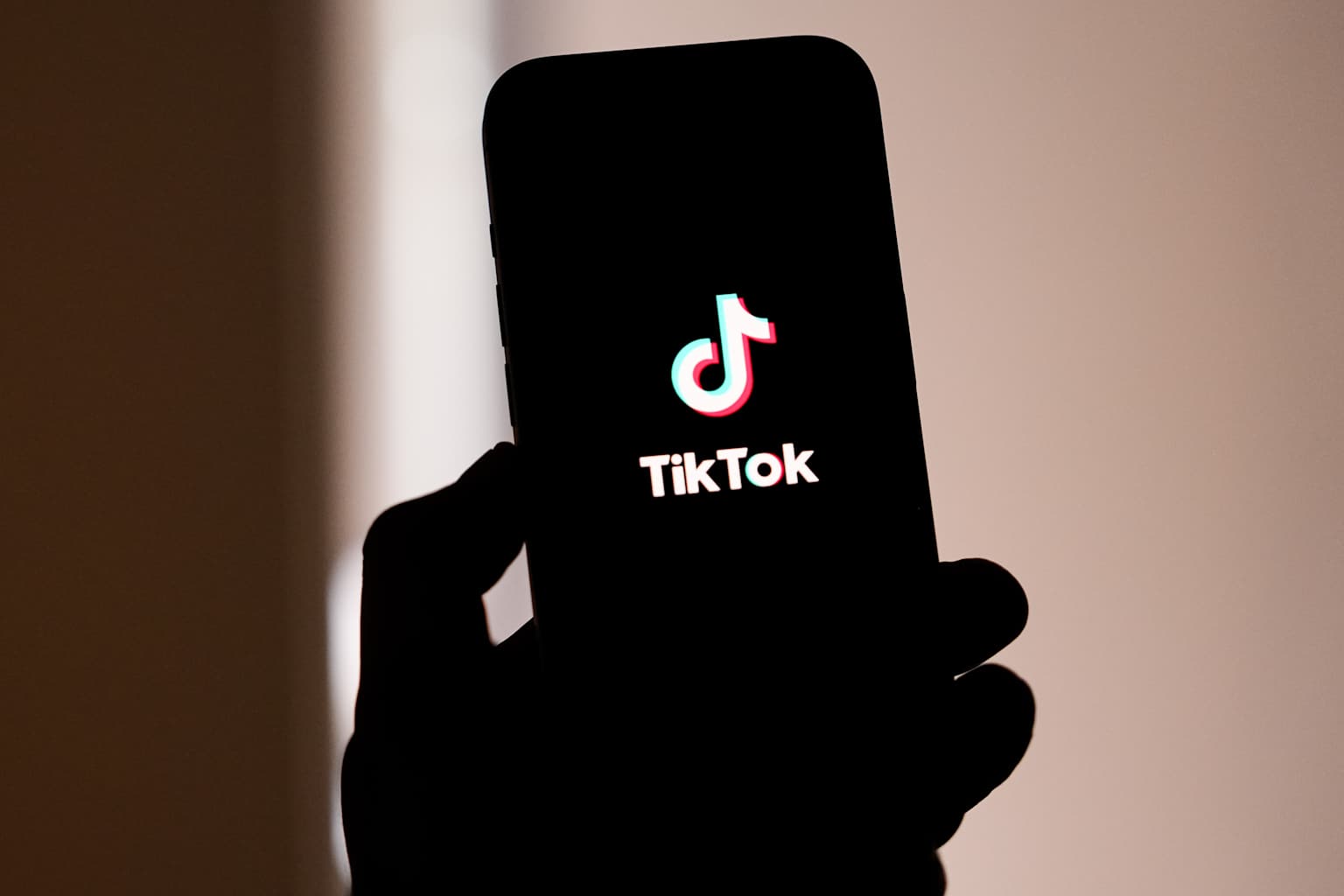 TikTok Ban: Trump to Delay Enforcement of Law Until ...