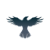 RAVENUSD