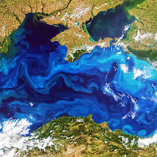 Ocean colors shifting as warming waters reshape marine life