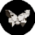 BTRFLYUSD