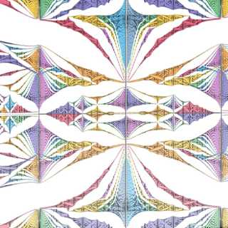Fractal Butterfly Observed