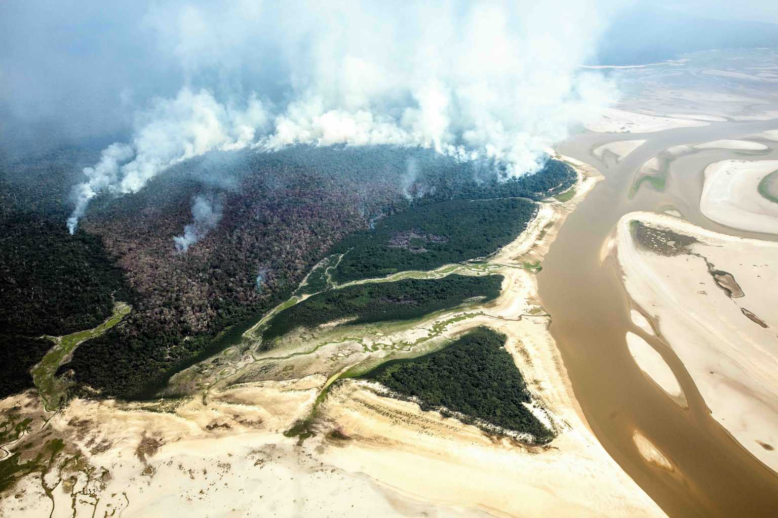 Amazon forest degradation outpaces deforestation despite Brazil's historic gains