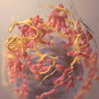 Cancer's 'Master Switch' Blocked