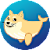 DOGEWHALEUSD