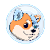 KODAUSD