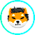 SHIBELONUSD