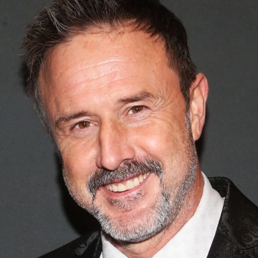 'Scream' Star David Arquette's Career Highlights