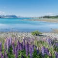 Lake Tekapo