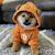 DOGUSD