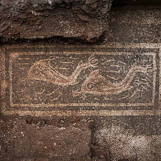 Ancient dolphin mosaics found by University of Salzburg team