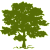CYH