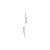 PSNY