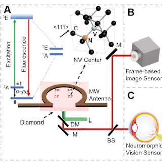 Robot brain uses 99% less energy than traditional systems