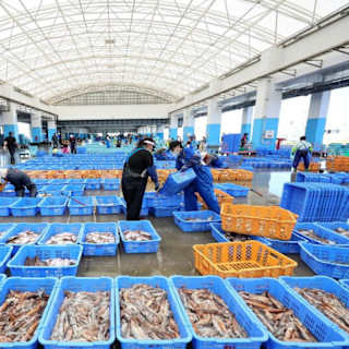 China lifts most restrictions on Japanese seafood imports
