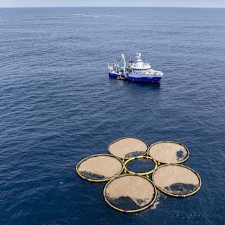 Startup sells 200,000 ocean carbon credits for unproven tech