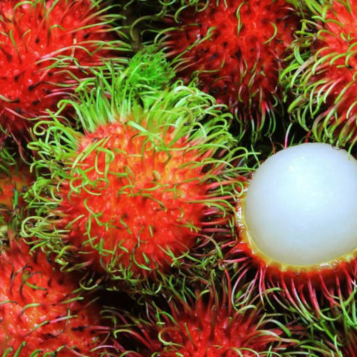 The Unique Taste of Rambutan from Southeast Asia