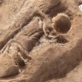 Viking boat grave of high-status woman and her dog found in Norway