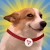 SUNDOGUSD