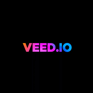 A Beginner's Guide to VEED.IO