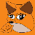FOXEUSD