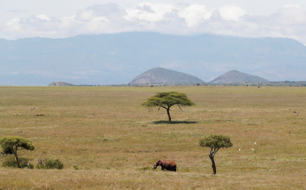 Adapting to extreme habitats set the stage for global human ...