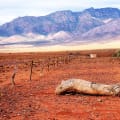 Flinders Ranges, South Australia