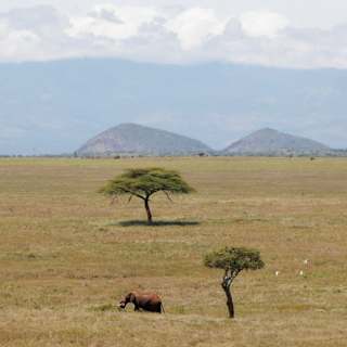 Ancient humans trained 20,000 years in Africa before global conquest