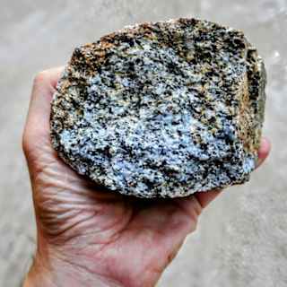 Living Microbes Found in 2B-Year-Old Rock