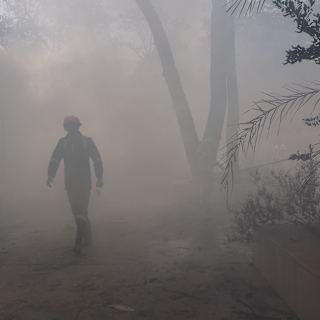 Boeing shares plunge after Air India 787 crash kills over 200