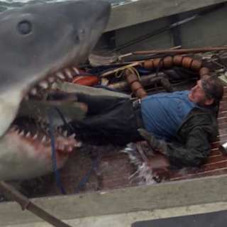 'Jaws' turns 50, but its deadly legacy lives on