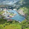 Quidi Vidi