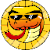 SNEKUSD