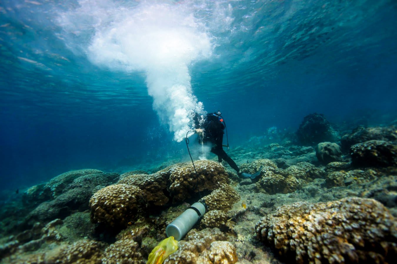 Los fenómenos de El Niño son ahora más intensos que en cualquier momento de los últimos 1.000 años, según un estudio
