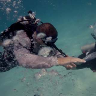 Navy SEALs trade combat missions for coral restoration