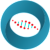QLGN