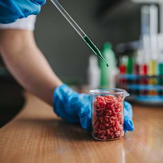 Texas bans lab-grown meat sales, joining six other states