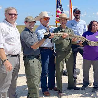 Florida Python Challenge kicks off 10-day hunt