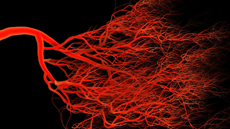 singularityhub.com