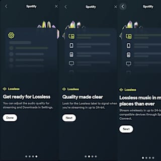 Spotify's lossless audio feature spotted in app code