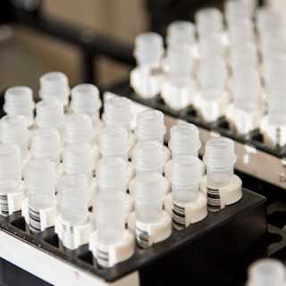 STITCHR Promises Mutation-Free Gene Therapy