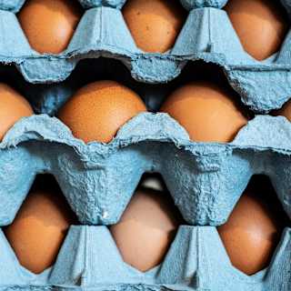 FDA recalls 1.7 million eggs over salmonella outbreak