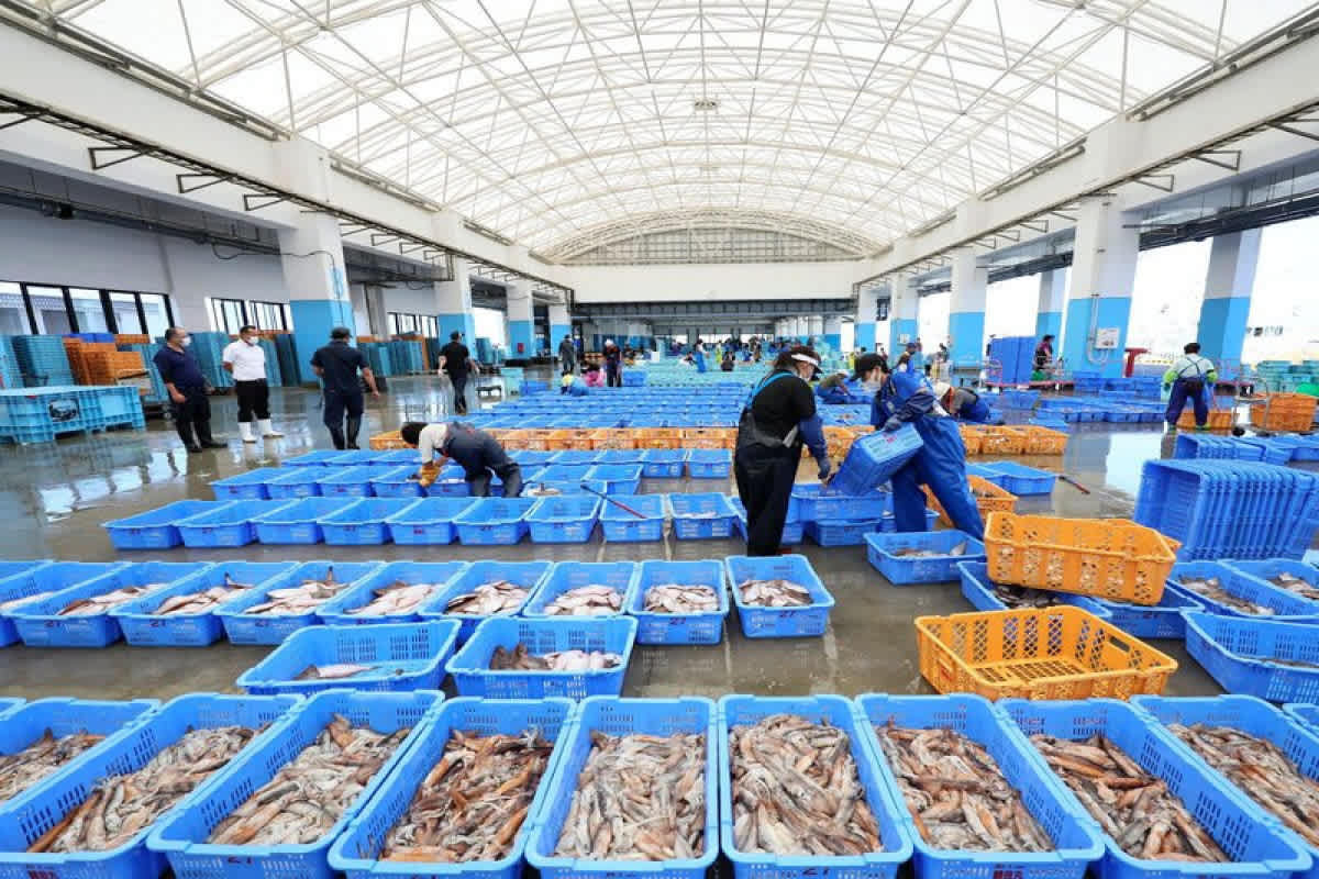 China lifts a nearly 2-year ban on seafood from Japan over ...